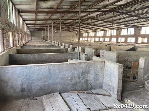 12000元/月 1500平米猪场诚心出租，养殖创业的不二之选