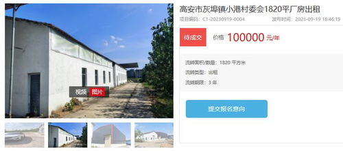 速看！高安30所小学场地出租，打造校内外资源共享新范式