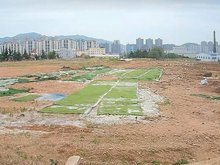 青岛租金最便宜土地出租,青岛租金最低市区农村郊区土地出租-青岛安居客